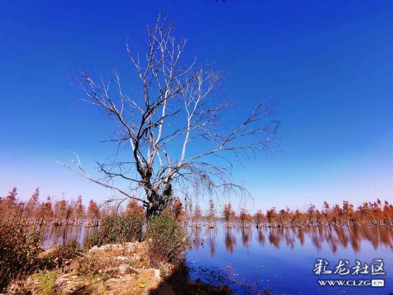 我公司投标,要出具法定代表人资格证明书,是找工商局办理,还是自己出具证明盖章就可以呀?- 有问必答平台,快速解答您的问题