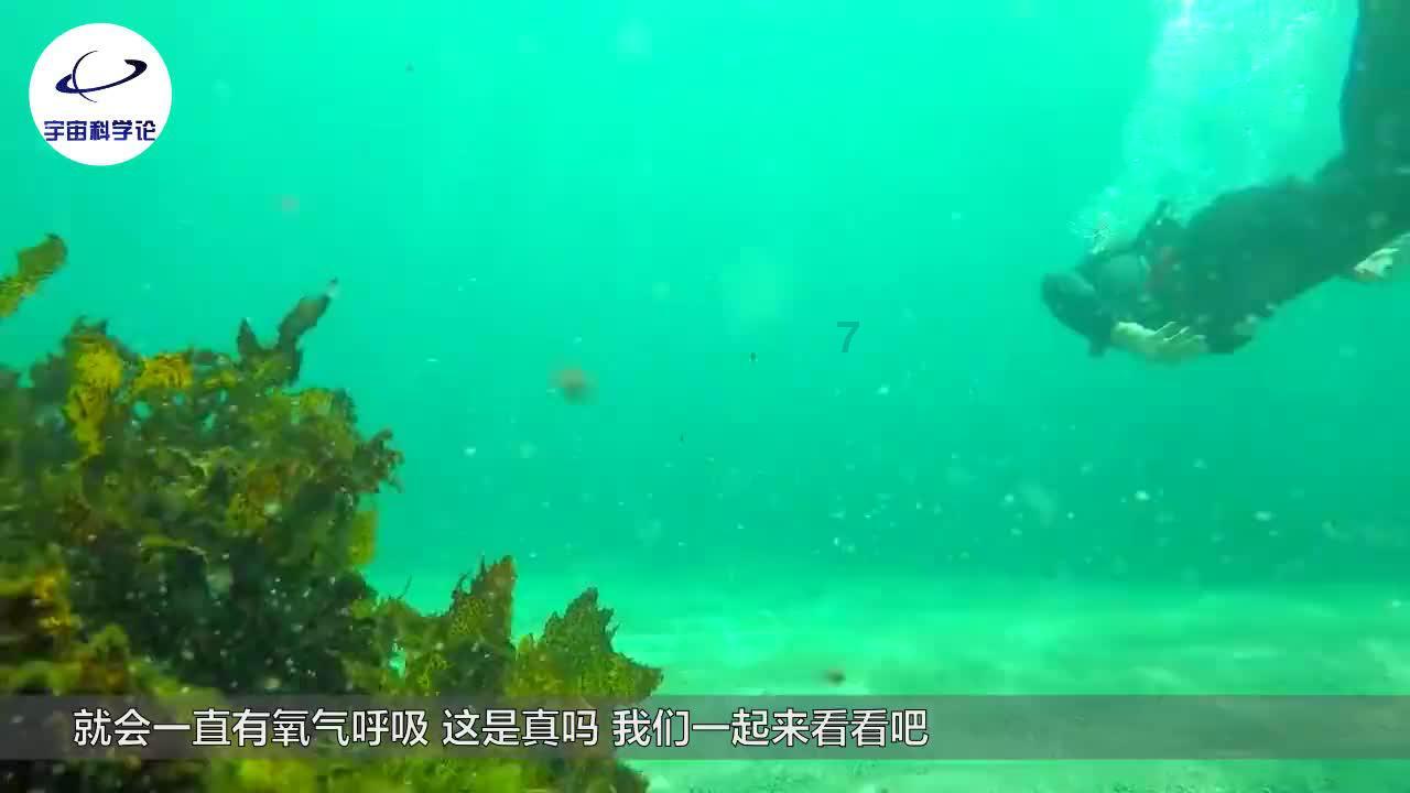 东风风神官宣：全面电动化！5款新车曝光！不学理想-搞增程