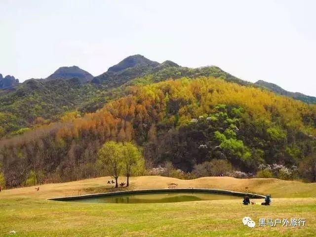 探秘我这个社保卡好几个月没往里打钱了怎么回事儿?,解锁天涯问答新乐趣