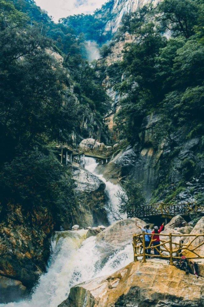 逃离奇异森林